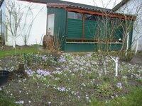 2005.3.26 008 Bienenhaus mit Vorgarten im Frühjahr.jpg
