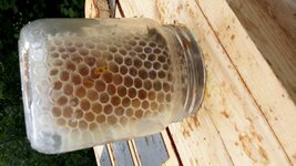 Honig im Glas (1).jpg