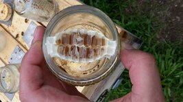 Honig im Glas (3).jpg
