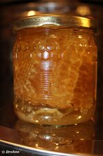 Bienenwabe in Honig.jpg
