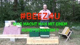 #beez4u - Kunstschwarm.jpg